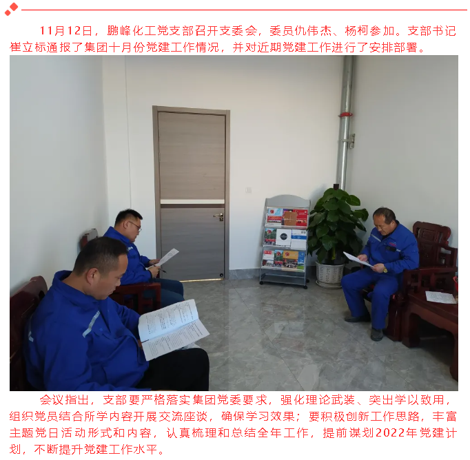 鵬峰化工黨支部召開(kāi)支委會(huì)49
