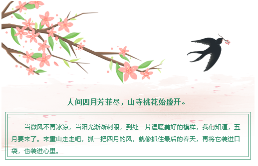 【重山影像】重山芳菲初夏近，萬物逢時(shí)皆美好